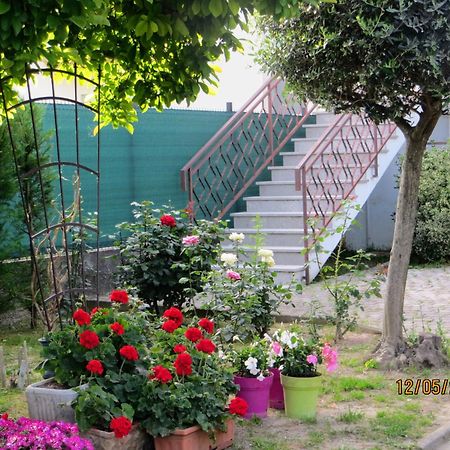 5 Palme Panzió Terzo d' Aquileia Kültér fotó