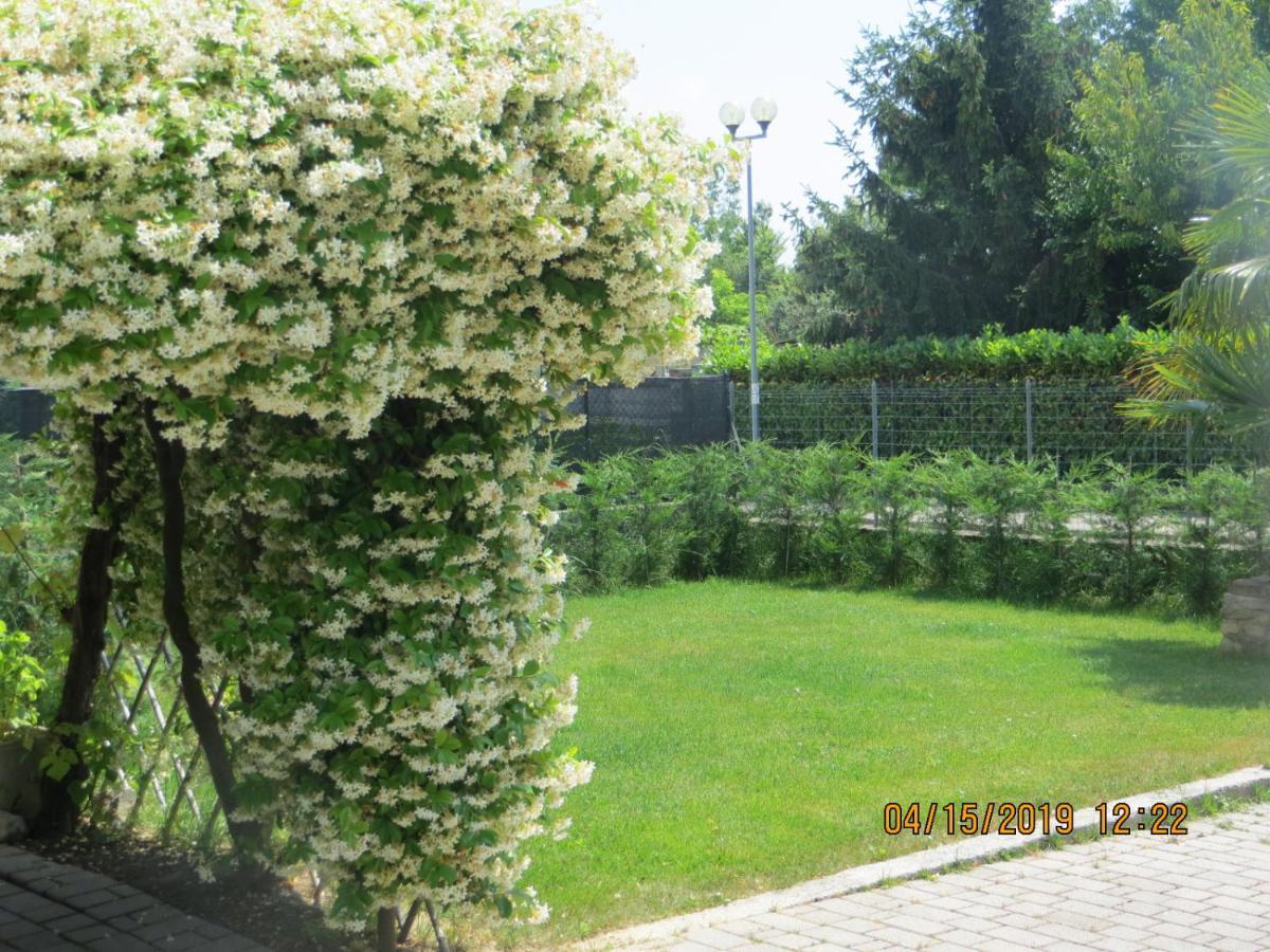 5 Palme Panzió Terzo d' Aquileia Kültér fotó