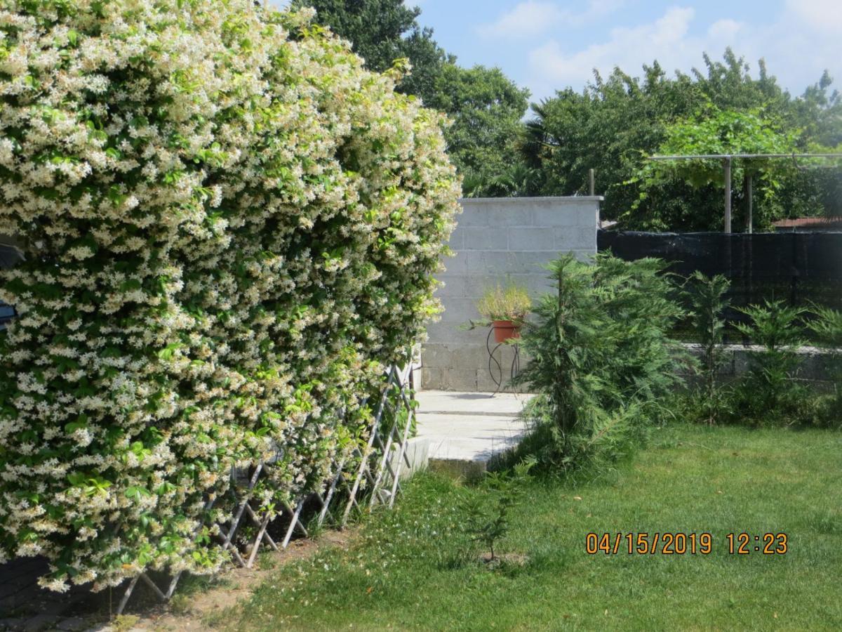 5 Palme Panzió Terzo d' Aquileia Kültér fotó